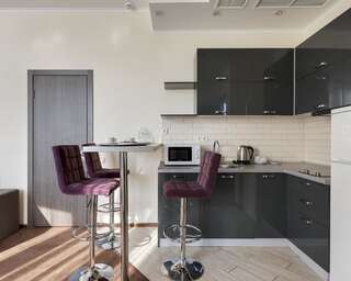 Отель Twin Apart Hotel Киев Апартаменты с 1 спальней-12